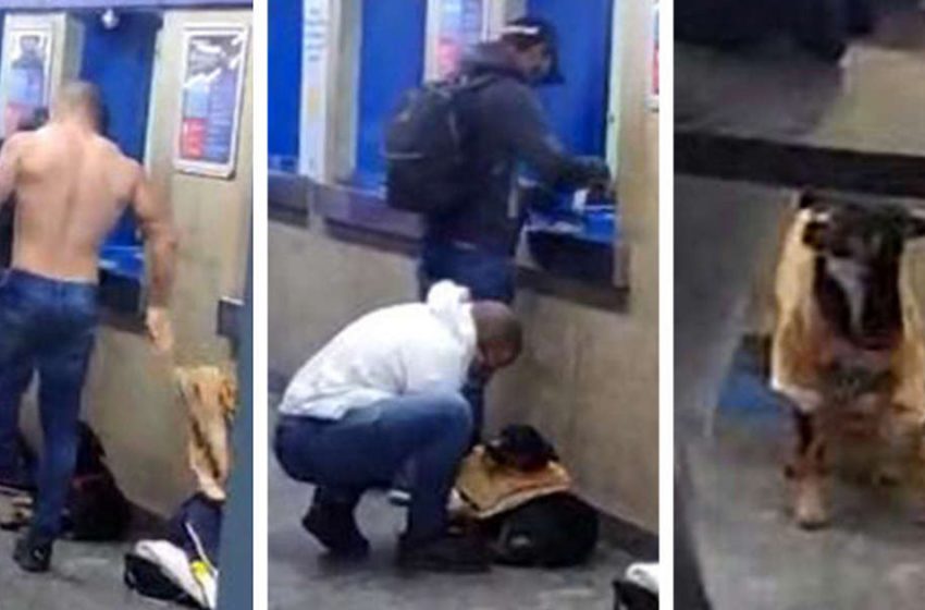  The caring man warmed the poor dog by putting his shirt on him