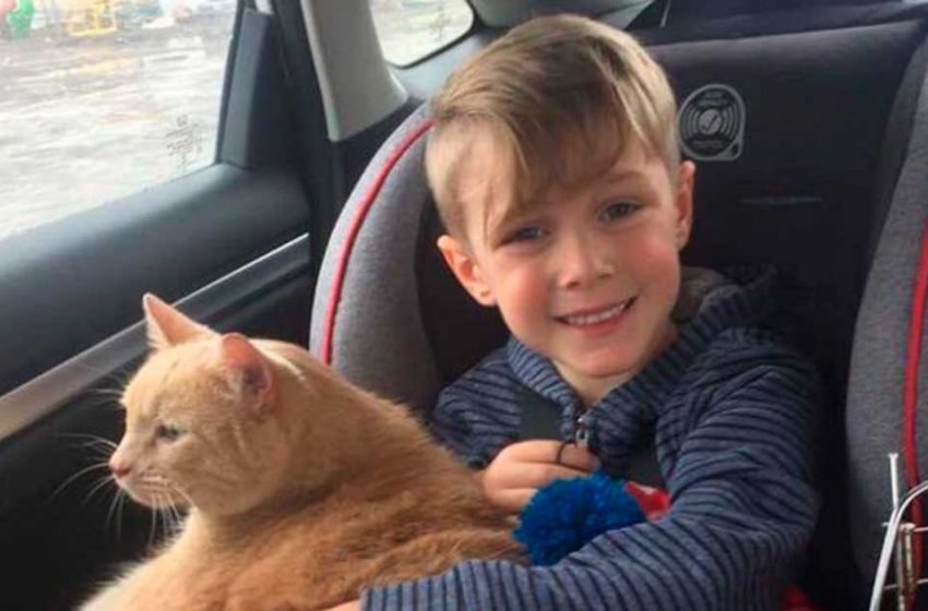  The choice of the boy to have a pet surprised absolutely everyone!