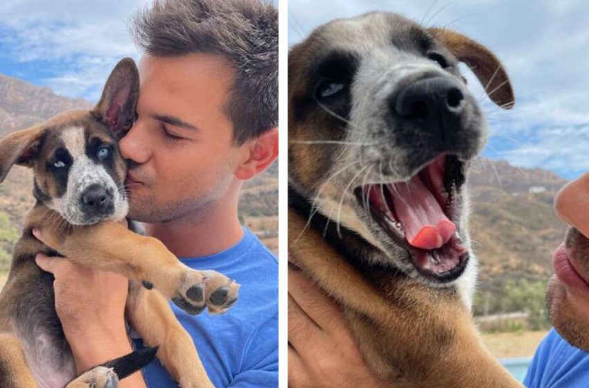  This stray dog filled the life of her new owner with wonderful emotions