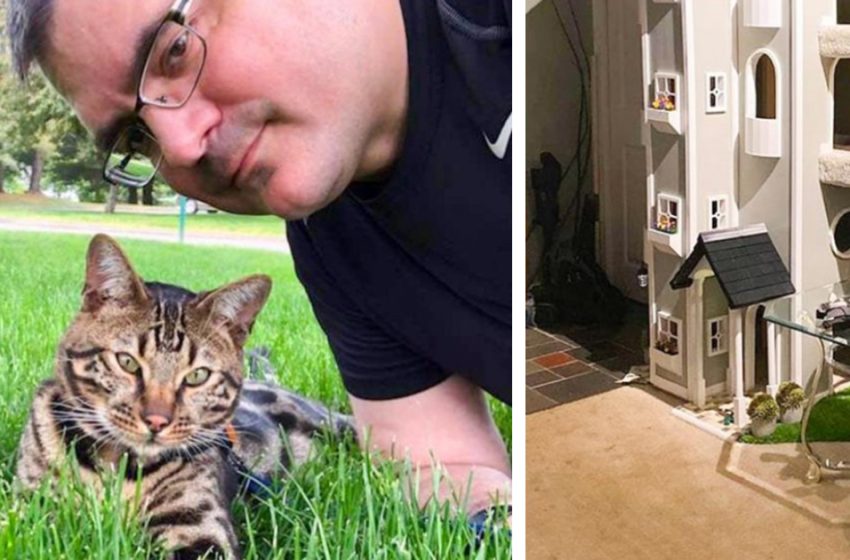  The man decided to build a house for his cats, and it turned out to be real mansion