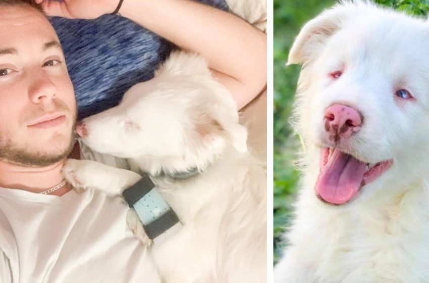  The man found a nice way to wake up his deaf and blind dog. This is so cute!