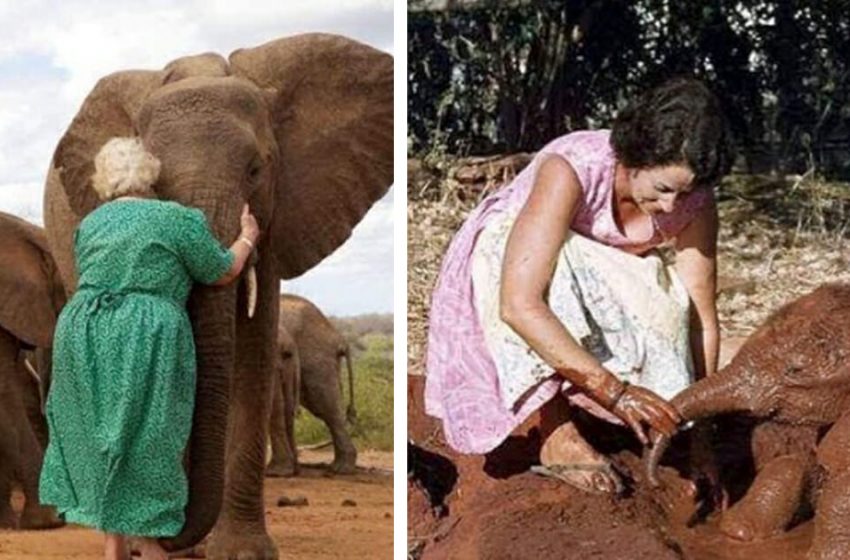  The wonderful lady devoted her life to helping and caring for the orphaned baby elephants