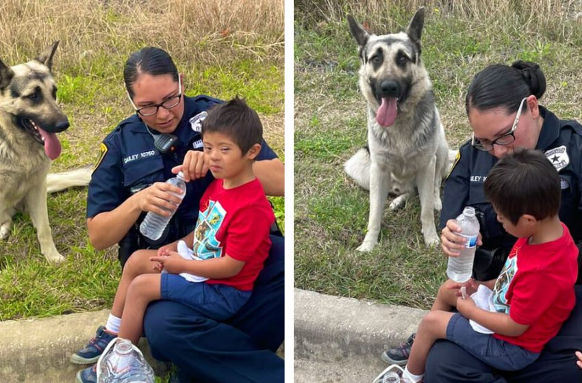  Dog found guarding his owner’s son when he went missing