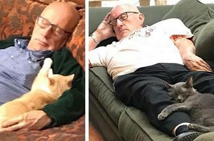  For six months now, this elderly man has been coming to the shelter to sleep in a hug with cats