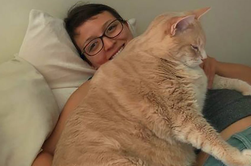  Boy and girl took very fat cat from shelter and decided to bring him back to normal