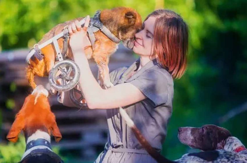  Photographer gave up her career to live with a hundred sick dogs in the woods