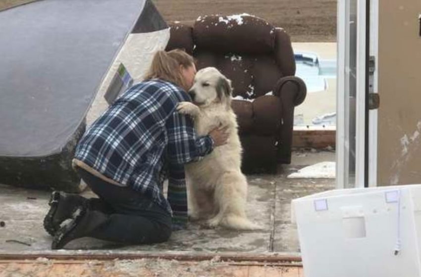  Pet survived a tornado that destroyed their house