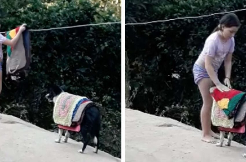  Mom notices cute dog helping daughter with laundry