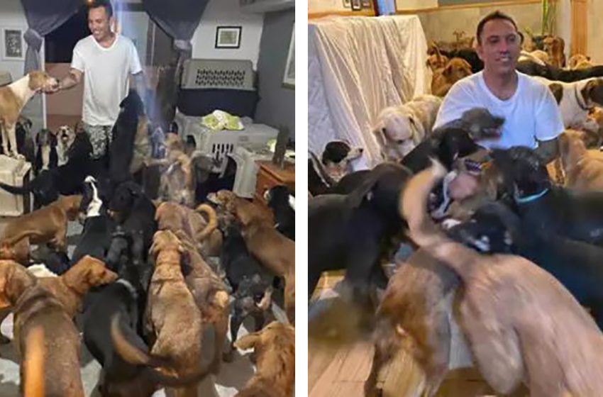  A kind man brought 300 dogs into his home to protect them from the storm