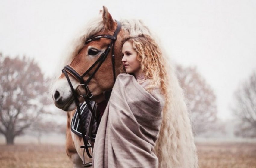  A resident of Holland showed the world her horse with a strikingly long mane, and it’s like a fairy tale!