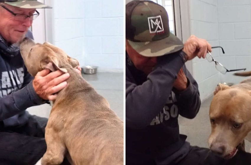  The dog can’t believe it’s been 200 days, but her father found her