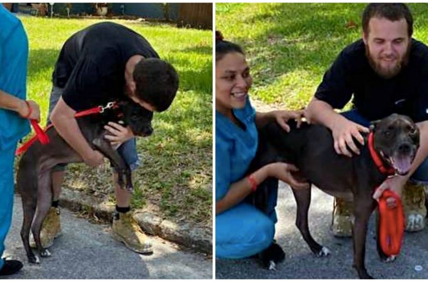  Man weeps, reunited with dog he had to give up when he became homeless