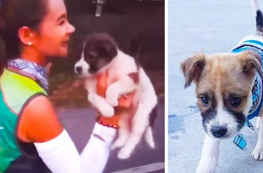  In order to save the puppy, the participant of the 30 km marathon ran with it in her arms