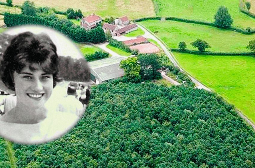  After his wife passed away, he planted 6,000 oaks in front of the house. It was only 20 years later that everyone realized why…