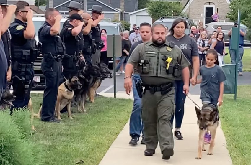  The respected police dog got is final honour from the officers during his last walk