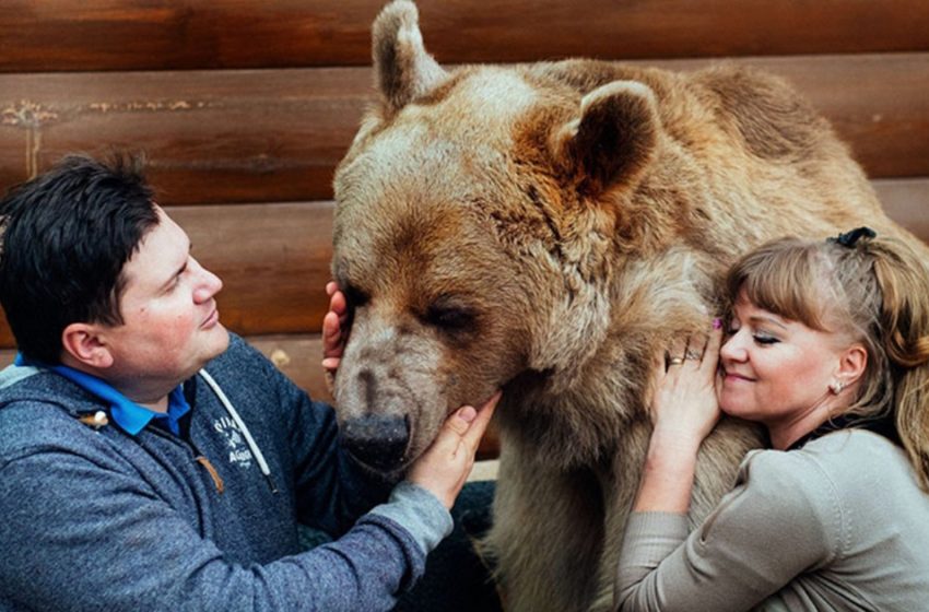  An Orphaned Bear Cub and a Couple are Living Togheter for 23 Years Now