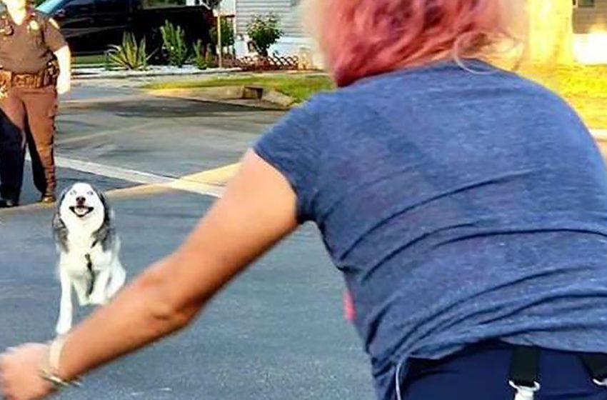  The woman finds her dog after 20 months of desperate search