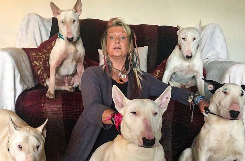  Husband made Woman Choose Between Him and 30 Dogs