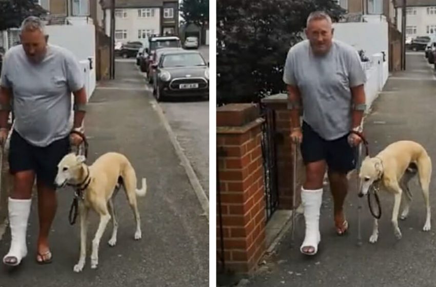  A Dog was Fake Limping out of Sympathy to His Owner