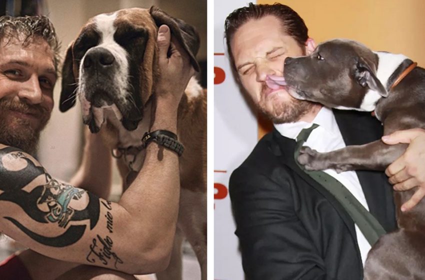  Just Take a look at Tom Hardy with his favorite puppies