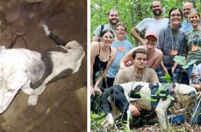  Gli esploratori delle caverne trovano un cane intrappolato in una fossa di 30 piedi, si calano in corda doppia per salvargli la vita