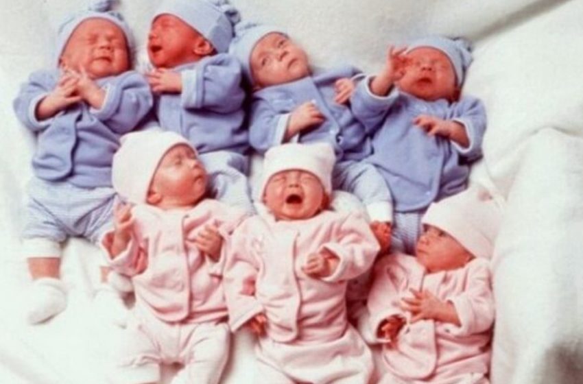  I primi sette gemelli al mondo sono cresciuti! Cosa sono diventati?