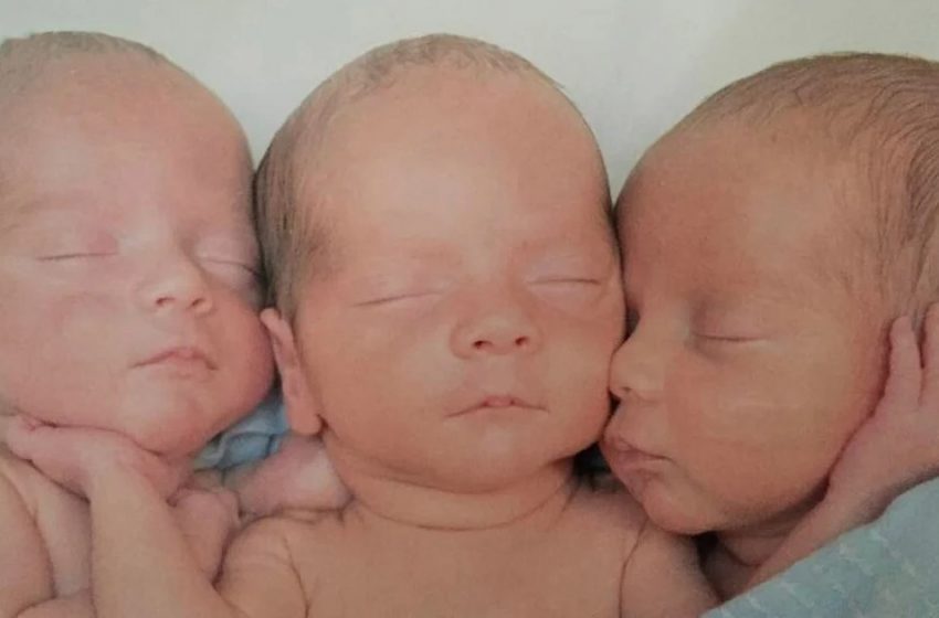  Come fa la loro mamma a distinguerli : Com’è l’aspetto dei triplette identici unici oggi