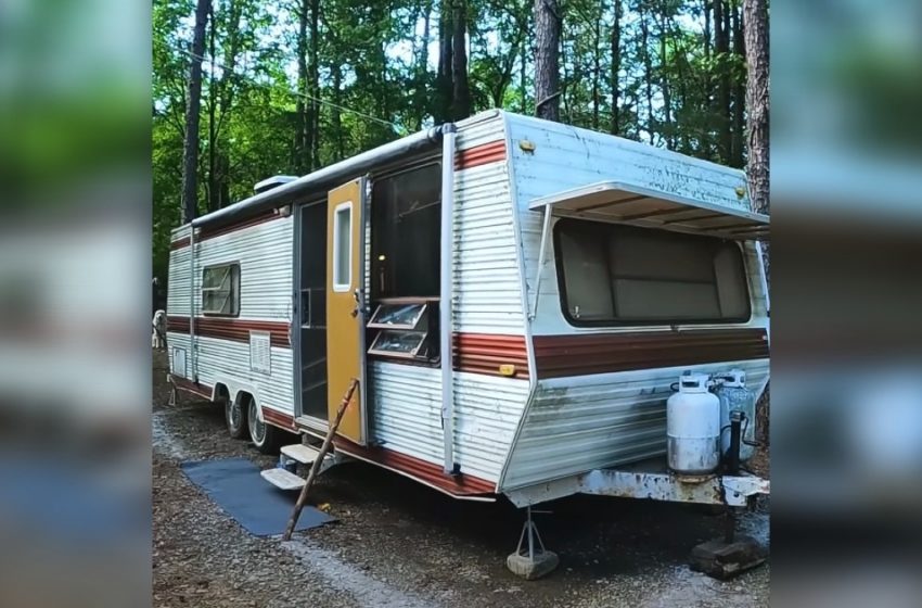  Una persona gentile ha regalato a una donna senza casa un vecchio rimorchio gratuito: lei lo ha trasformato in una confortevole piccola casa nel bosco