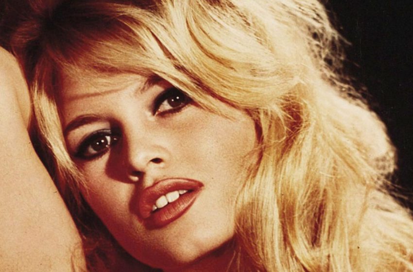  «Attrice ha avuto 4 mariti e più di 100 amanti»: Brigitte Bardot ha già 88 anni, com’è ora?