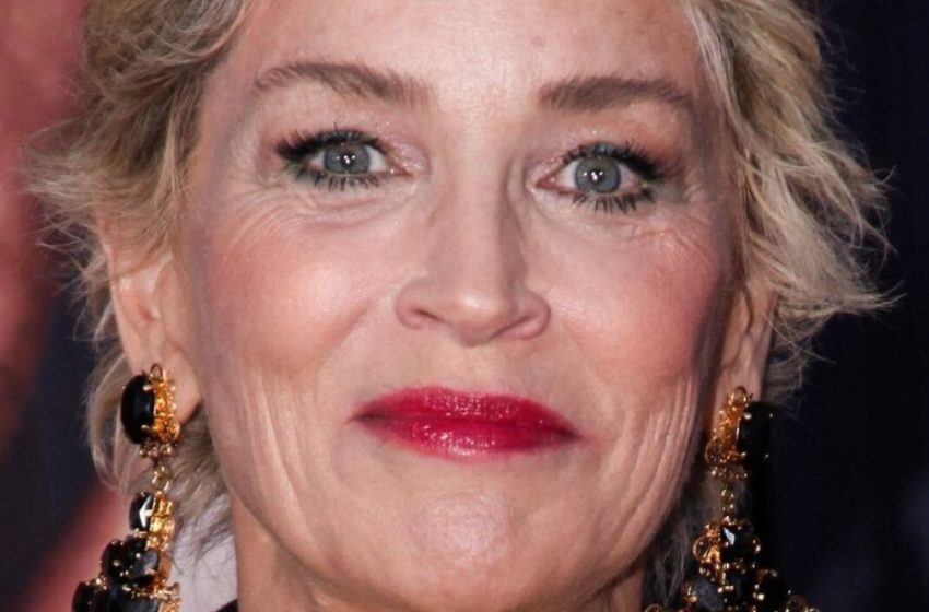  «Sembrava Invecchiata, Ma Felice»: Sharon Stone Osò Mostrare una Foto in un Costume Giallo!