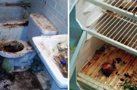 Un appartamento estremamente sporco è stato pulito dai netturbini: foto prima e dopo!
