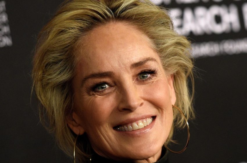  «Una donna della sua età dovrebbe essere più modesta»: l’audace abito di Sharon Stone ha fatto molto scalpore in rete!