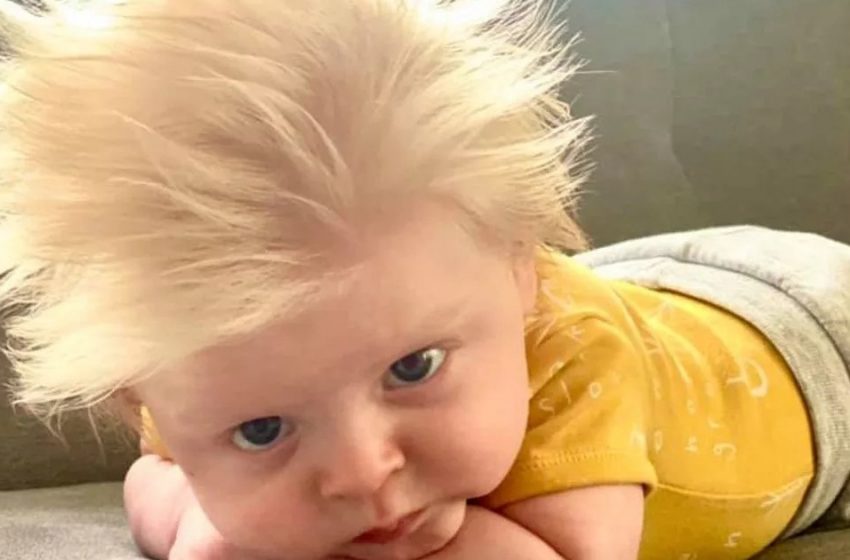  «Sorpresa Per Mamma E Papà»: Un Bambino Nato Con Capelli Incredibilmente Lunghi Incanta La Rete Con Le Sue Foto Adorabili!