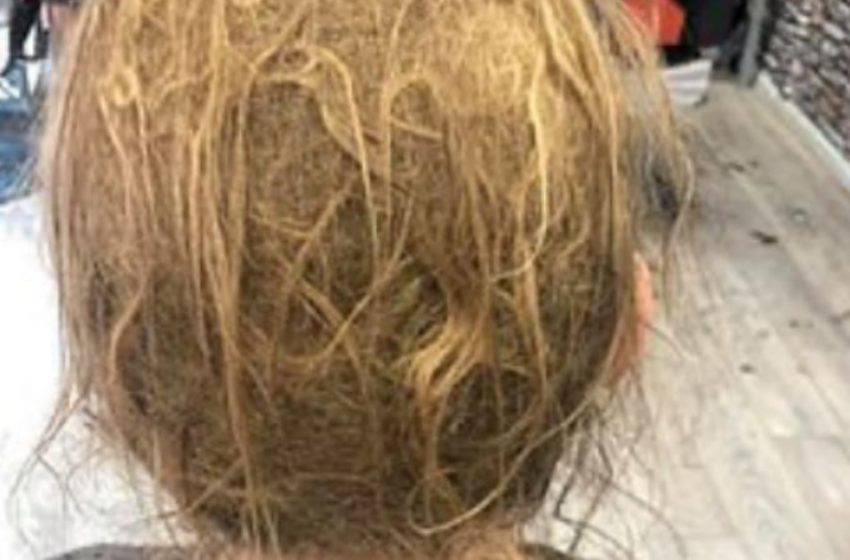  Il ragazzo aveva paura di farsi un taglio di capelli per 10 anni: ora il suo taglio è una vera sfida per il barbiere!