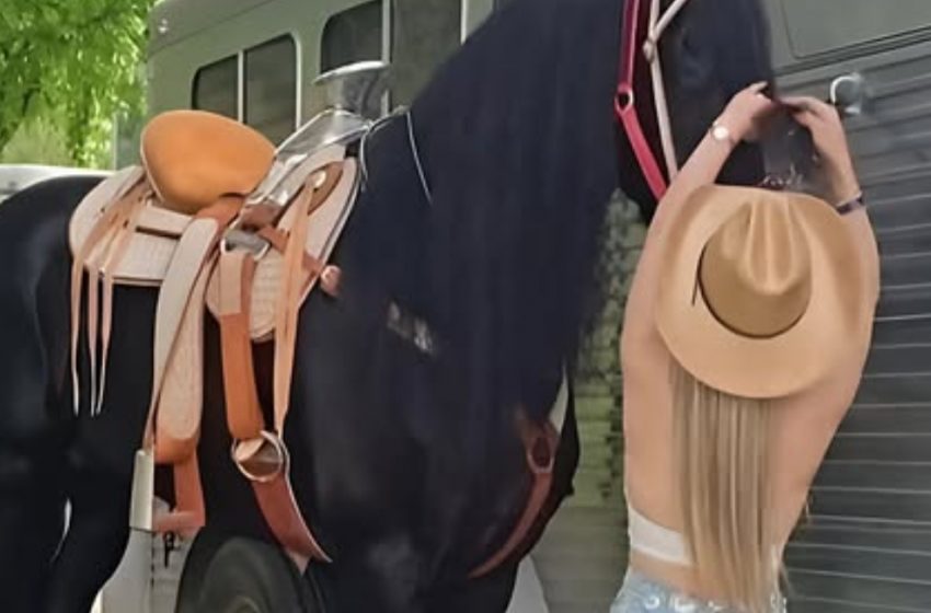  “L’uomo ha chiesto il divorzio dopo aver ricevuto questa foto: riesci a indovinare il motivo?”