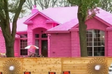 Questo uomo ha dipinto tutta la sua casa di rosa brillante e i suoi vicini sono furiosi! Scopri la trasformazione completa!