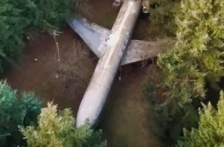 L’uomo che ha trasformato un vecchio aereo in una casa da sogno: Devi assolutamente vedere l’interno!