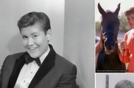 Il giovane idolo dei teenager diventato leggenda della musica ha perso la sua fortuna, ma ha trovato un amore vero che non lo ha mai lasciato! Chi è?