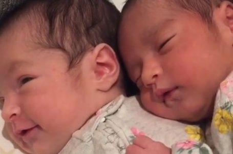 Gemelle neonate condividono un momento adorabile che mostra il loro legame indissolubile!