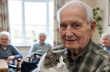 Il Gatto della Casa di Riposo e un Legame Infrangibile: La Verità Commovente Svelata Dopo la Sua Morte