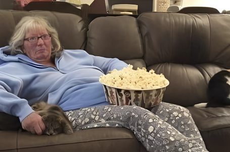 Ho Chiesto a Mia Madre di 64 Anni di Fare da Babysitter: Ma Lei Mi Ha Sorprisa Chiedendomi Soldi!