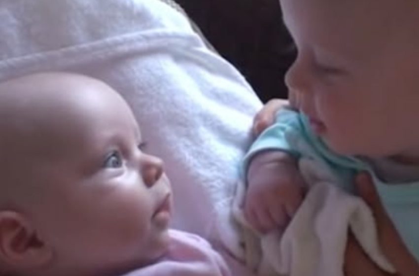 Il Primo “Dialogo” dei Gemellini Fa Sciogliere il Cuore di Tutti: Guarda il Video Completo!