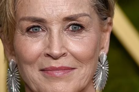 Roan, il Figlio Adottivo di Sharon Stone, 25 Anni, Sorprende i Fan con una Somiglianza da Gemelli in un’Apparizione Rara sul Red Carpet!: Guarda le Foto!