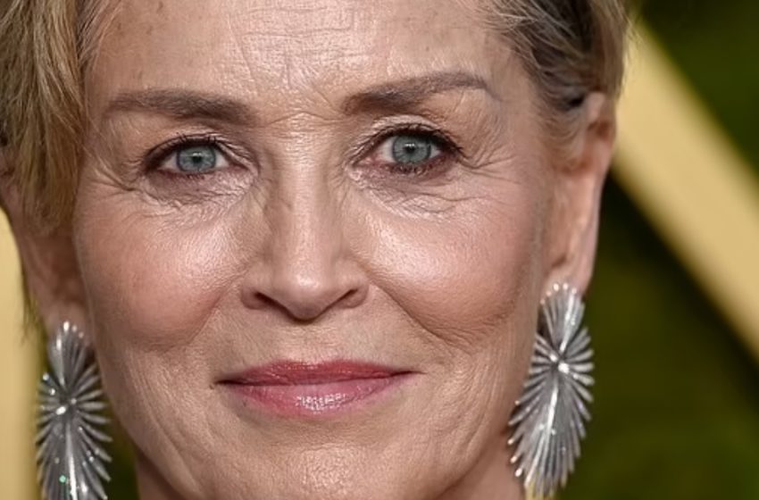  Roan, il Figlio Adottivo di Sharon Stone, 25 Anni, Sorprende i Fan con una Somiglianza da Gemelli in un’Apparizione Rara sul Red Carpet!: Guarda le Foto!