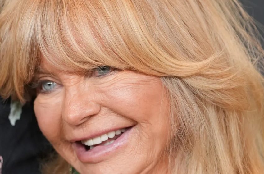  La nipote di Goldie Hawn è la sua sosia!: guarda le foto che lo dimostrano!