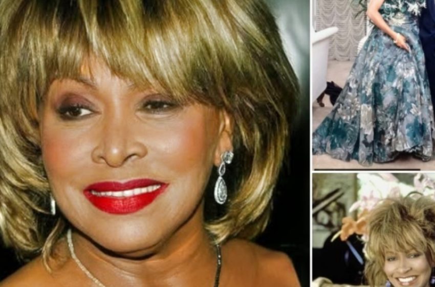  Tina Turner, 73 anni, sposa il suo secondo marito dopo 25 anni insieme!: Guarda le loro bellissime foto!