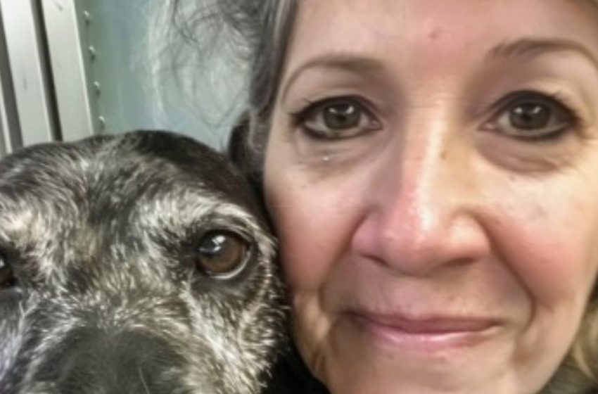  O me o il cane»: L’ultimatum straziante che mio marito mi ha dato dopo che ho adottato un cane terminale dal canile!