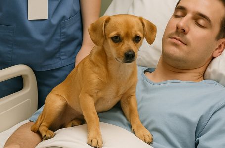 I medici avevano deciso di staccare i macchinari che tenevano in vita il giovane ufficiale. Ma il cane, che gli stava accanto per l’ultimo addio, compì un miracolo difficile da credere.