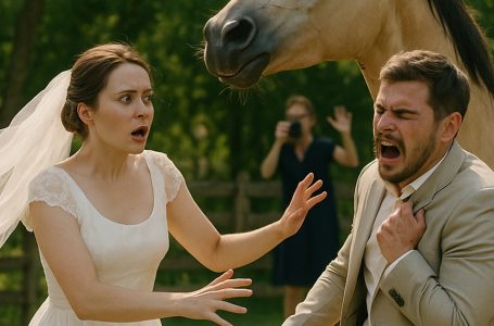 Durante una sessione fotografica per il matrimonio, il mio cavallo improvvisamente iniziò a nitrire verso il mio fidanzato e poi lo morse. Pensai che fosse impazzita, ma poco dopo capii qualcosa di sorprendente…