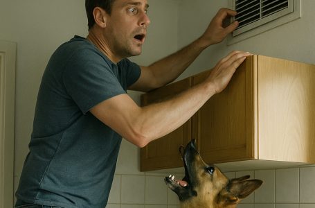 Il mio cane ha cominciato a comportarsi in modo strano e a arrampicarsi su un alto armadio, ringhiando forte. All’inizio pensavo fosse impazzito, finché non ho notato la vera ragione del suo comportamento cambiato.